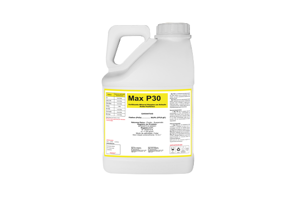 Max P30