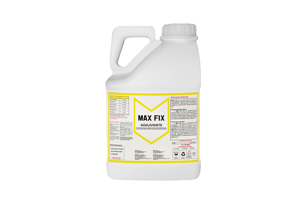 Max Fix