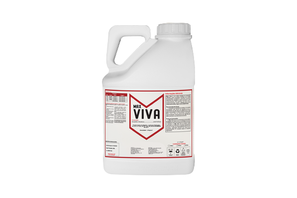 Max Viva